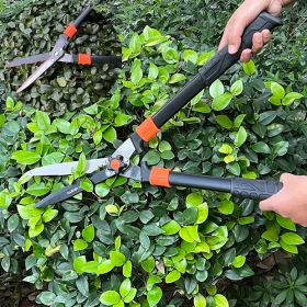 Hedge Shear 300X4mm Harden