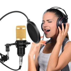 Professional Condenser Microphone