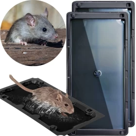 Mouse Plastic Glue Traps