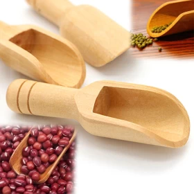 Mini Wooden Scoops For Spices - 3Pcs