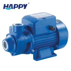 Water Pump 1/2 HP
