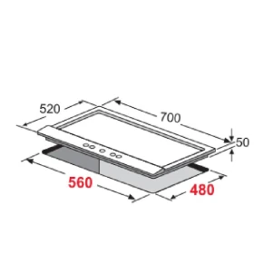 Electric Oven 60 cm -Built in