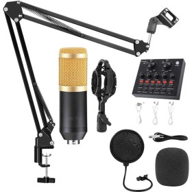 Professional Condenser Microphone